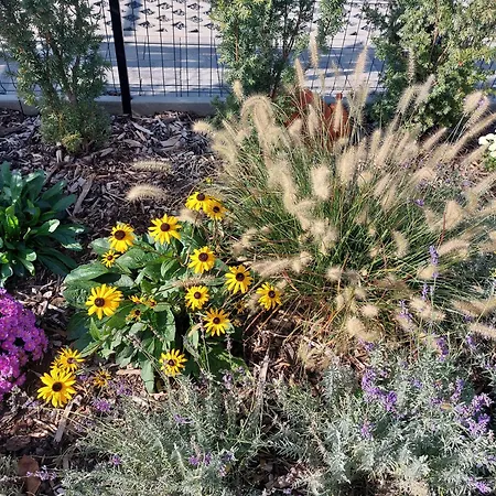 Feriehus Harom Testver Siófok