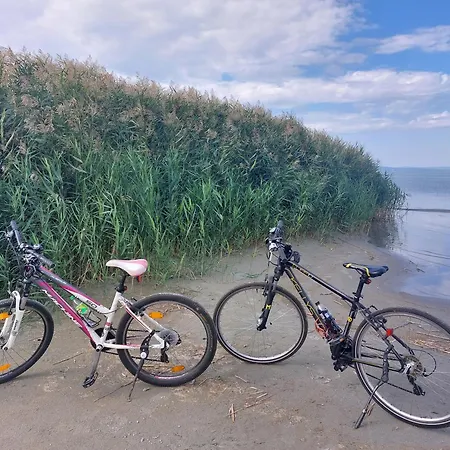 Feriehus Harom Testver Siófok