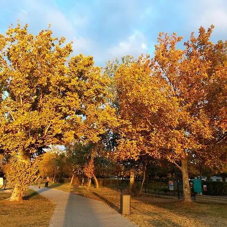 Harom Testver Feriehus *